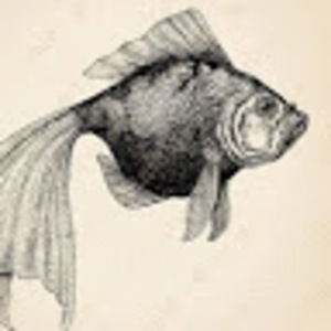 Meet your Posher, Alexa